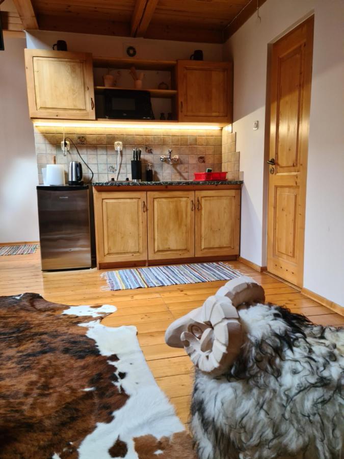 Apartamenty Pod Cisowka Zakopane Extérieur photo
